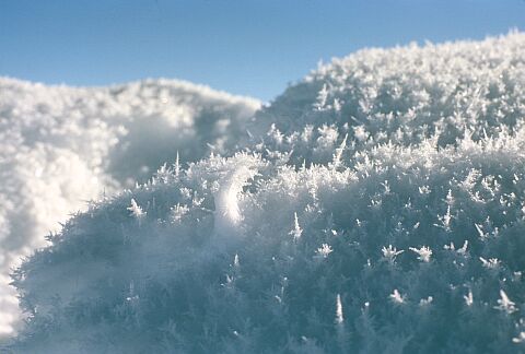 [Cappelle078.jpg]
Crystals grow at -25C with a solid state inverse sublimation process.
