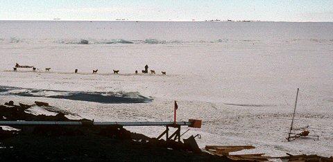 [Cappelle119.jpg]
Activities at Scott base: windsailing and dog sledding. Dogs are now illegal in Antarctica as per the Antarctic Treaty (image © Thierry Cappelle 1977, used with permission).
