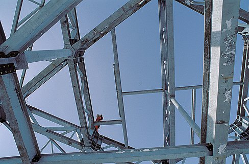 [BuildingStructure.jpg]
The metal frame of the building under assembly
