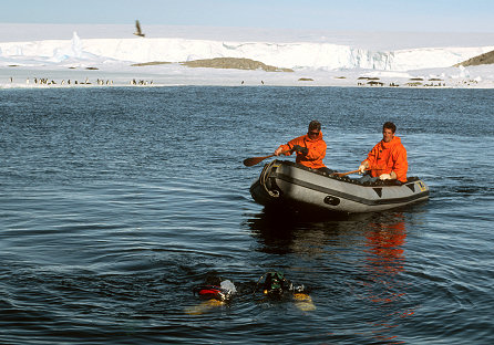 [ScubaCold.jpg]
Scuba diving in the cold waters of Antarctica: to catch animals living at the bottom (like mussels), repair underwater equipment (warf, power cables, tide-measurers).