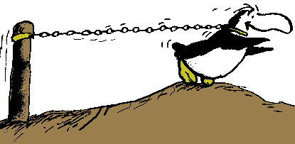 Drawing of a captive penguin