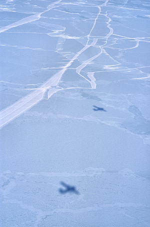 [FlyingAboveSeaIce2.jpg]
Flying above sea ice, where breaks into the ice have refrozen into some imitation of roads.