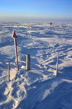 [PlaceMarkers.jpg]
One in a series of several surface markers used to regularly measure the movement of the ice. Dome C is defined as the top of the local ice, but it's so flat that it's easier to define it as the place from where the ice flows in every direction, which is the most interesting to deep drilling glaciologists. The station is visible far away on the horizon from this reference pole used yearly by specialized GPS equipment to pinpoint to flow of ice to within a few cm a year horizontally.