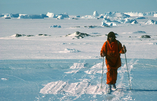 [DdU_D10Ski.jpg]
Arno skiing on the blue ice of the continent, near D-10.