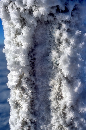 [IceCrystals2.jpg]
Ice crystals forming outdoors on the top of the american tower. What surprised us during the winter was the heavy formation of ice away from the ground. The american tower had about one meter thick of ice on the top of its structure in early september, with no ice at all at the base. Within a month it was all  but gone from the sun warming up (!) the structure.