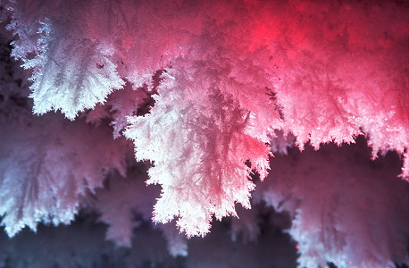 [IceCrystals6.jpg]
And the same one, backlit with a red LED light.