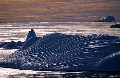 [OldBerg.jpg]
An old iceberg with old marks from scraping the bottom of the sea in a previously different position. When they become small enough that their width is similar to their height, tabular icebergs start rolling over and stabilize into a new position, until the erosion from the sun and the air at the top removes enough material to tip the balance again. Sometimes near the coast they get stuck on shallow depths by the tides. Seeing an iceberg roll over is an impressive sight as it takes several minutes to stabilize into a new position, with great splashes of water.