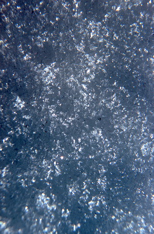 [SnowCrystals3.jpg]
Snow crystals after being exposed to the sun for a while.