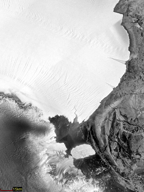 [LambertGlacierBerg.png]
The Lambert glacier, dominating the upper part of the image and largest glacier on the planet with its 400km of width, often calves icebergs the size of small countries into the Antarctic ocean (right). A smallish iceberg can be seen on this satellite image moving away from the smaller glacier at the bottom. Some even larger icebergs sometimes separate from the major ice shelves found in the Ross sea or the Weddell sea.