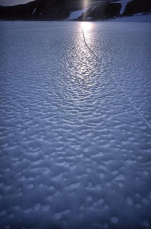 [SmoothSeaIce.jpg]
Wind-smoothed sea-ice in the bay of Terra Nova.