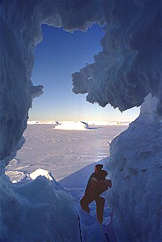 [CaveEntrance.jpg]
Here GrosNitho at the entrance of a cave inside an iceberg. There were many of those caves, some unstable with blocks fallen from the roof blocking the entrance, others quite smoothed up by the summer sea. Those caves are probably crack enlarged by the sea in summer since they all seemed to be at sea level.