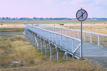 [DryLakeNatimuk.jpg]
Natimux Lake, quite a disappointment if you expect to take a swim, much less a dive.