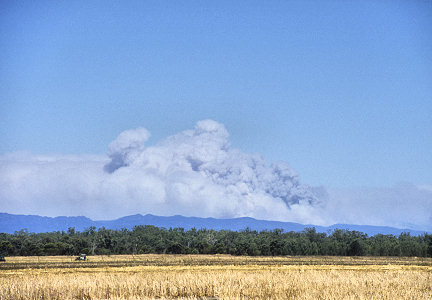 [GrampiansFireSmoke.jpg]
Smoke from the 2006 forest fires raising above Grampian National Park and visible from tens of km away.