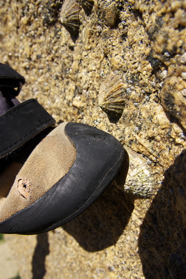 [20100912_154602_Kerlouan.jpg]
Some of the lower boulders are completely covered in barnacles