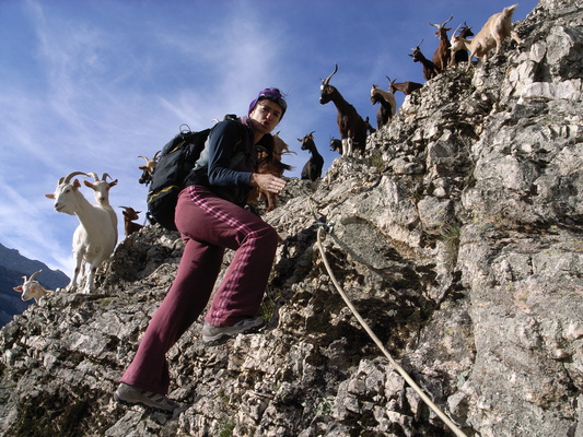 [20061008-164055-FerrataGoats.jpg]
Strange crowd on a Via Ferrata at Roche Robert. They look friendly and harmless enough, but the problem is that sometimes they drop rocks on you while walking carelessly above the cliffs.