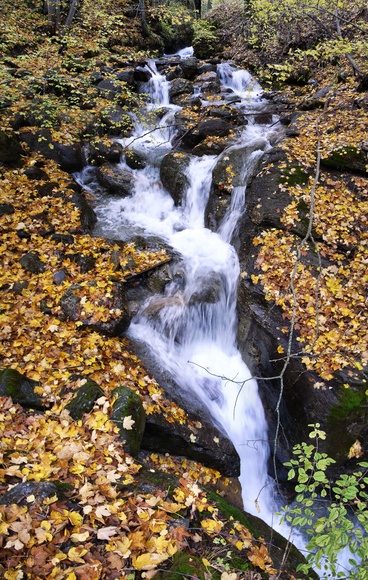 [20061022-CascadeOrangeLeavesVPano_.jpg]
Stream running through fallen leaves in autumn.