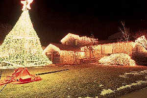 [XmasDecoration.jpg]
Obnoxious Christmas decorations in Fort Collins