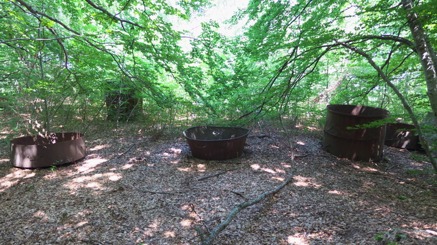 [20130715_125104_3becsVTT.jpg]
I have no idea what those gigantic pots were for. There were tens of them strewn around the forest, some about 10 feet high.