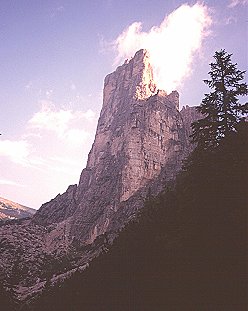 [TorreVenezia.jpg]
Torre Venezzia.