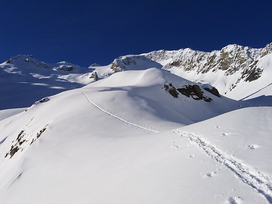 [20090501_080053_Rochail.jpg]
Yesterday's trail towards the summit.
