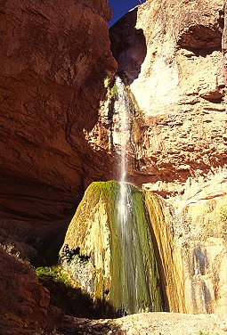 [RibbonFalls2.jpg]
Ribbon Falls, on the North Kaibab trail