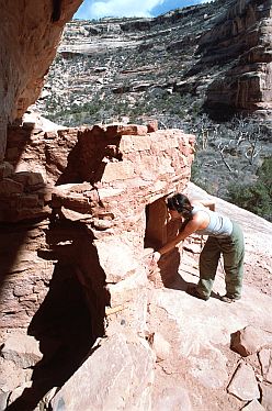 [AnasazieRuin.jpg]
Jenny checking out the well preserved ruins of an indian house, up on a ledge. Unlike other places like Mesa Verde where access is limited to looking from a distance, in Grand Gulch you can access the ruins, provided you don't disturb them.