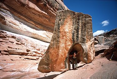 [BoulderStart.jpg]
Large boulder at the start of the descent into Grand Gulch Canyon.