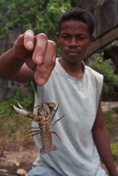 [20081023_132500_Crayfish.jpg]
During our hike up the hill above Amdrambovato, Jeannot, our guide, caught a crayfish in the waters of the waterfall...