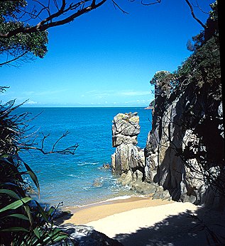 [TheBeach.jpg]
Beach on the Kepler track.