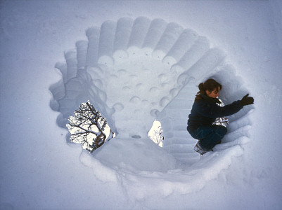 [ClimbingIceStatue.jpg]
Ice statue in Kiruna.