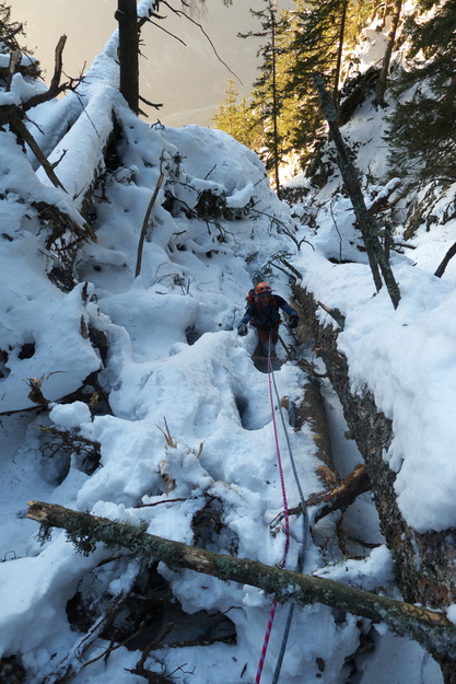 [20120222_172024_CascadeChampignonsAgo.jpg]
The steep section finishes in a vertical magma of broken trees stuck in the ice. This chaos continues for a while even when the ground gets more horizontal. I have no idea what kind of catastrophe brought down so many trees.