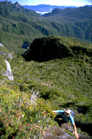 [FedPeakAscent.jpg]
Peter Hawkins during the ascent of Federation Peak. After the approach, getting out of the forest for the climb is pleasurable, even if you have to climb on dry mud.
