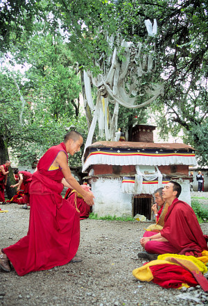 [MonkSchool.jpg]
A school of monks at the Drepong monastery. The standing one ask the question, and when he claps his hands the sitting one(s) must answer. Noisy but seemingly efficient if they manage to learn by heart all those piles of holy books.