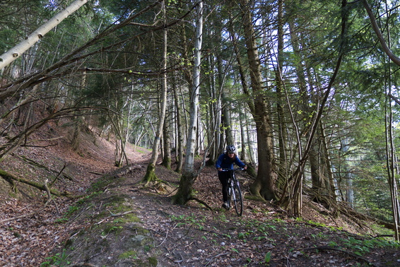 [20110421_085854_VttMortier.jpg]
Endroit stratégique de la descente, si on manque le chemin de boeufs et qu'on se retrouve sur le chamin de Fontrasset, c'est infaisable en vélo à moins de le porter tout le long...