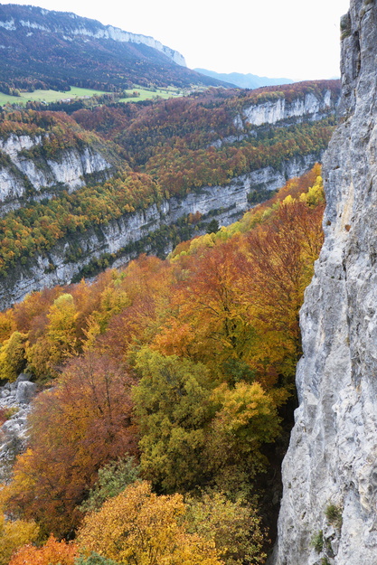 [20111029_125430_Goulandiere.jpg]
The cliff of La Gouladière in autumn, looking towards St Julien and the notch in the cliff of Arbois where a waterfall rarely freezes (except in 2012).