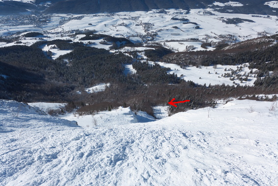 [20140125_145119_LesCrocs_.jpg]
The bottom cliff and the resting spot of the avalanche inside the forest.