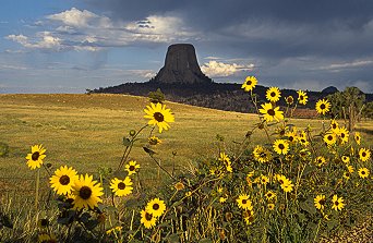 [DT_Sunflower.jpg]
In the middle of gentle hills, who else than the Devil or aliens could have erected such a dark tower.