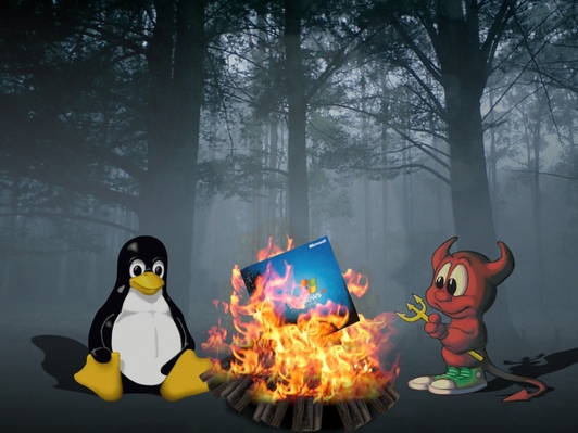 [BsdWindowsLinux.jpg]
Windows fire