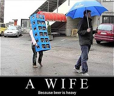 [BeerHeavy.jpg]
A wife: because beer is heavy...