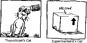 [Cat.gif]
Experimental cat
