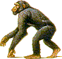 [Evolution1.gif]
Evolution