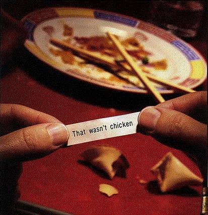 [Fortune.jpg]
Fortune cookie reads: 'That wasn't chicken !'