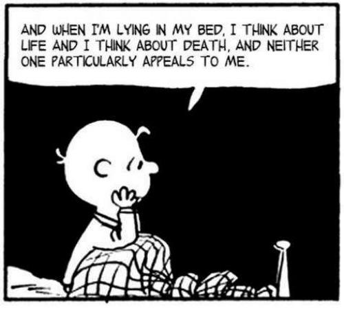 [LifeDeathBed.jpg]
Charlie Brown about life and death.