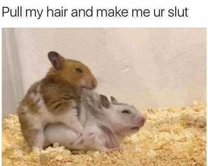 [PullMyHair.jpg]
Pull my hair