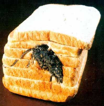 [WheresMyMouse.jpg]
Mouse in sliced bread. All sliced.