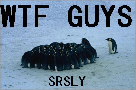 [WtfGuys.jpg]
Conspiring penguins.