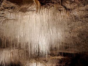 Thin stalactites similar to drinking straws