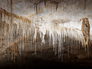 Various types of stalactites