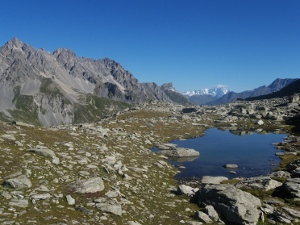 Minor lake reflecting Mt Blanc
