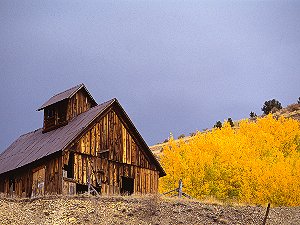 Abandoned barn in autumn